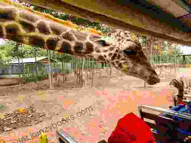 A Cheerful Giraffe Stretching Its Neck Over A Child's Bed In A Cozy Room. There Is A Giraffe In My Bed (My Room Is A Zoo)