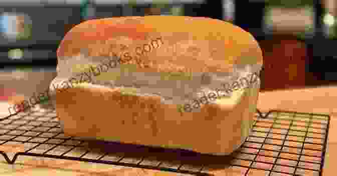 A Close Up Image Of A Freshly Baked Loaf Of Bread In A Bread Machine Beautiful Bread Machine: 15 Delicious Bread Machine Recipes (Bread Machine Loaf Dough Baking Bread Making)