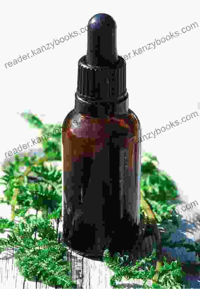 A Collection Of Essential Oil Bottles Essential Oils: With The 12 Fundamental Essential Oils (natural Remedies Essential Oils For Beginners Aromatherapy Essential Oils Essential Oils Guide)