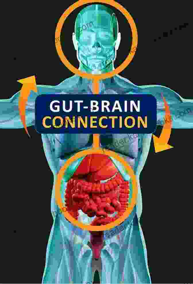 Understanding The Gut Brain Connection Foods That Heal Life Changing: Foods That Heal From Daily Eating Habits