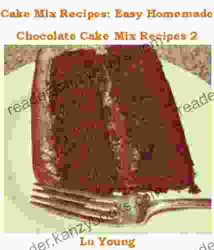 Cake Mix Recipes: Easy Homemade Chocolate Cake Mix Recipes 2