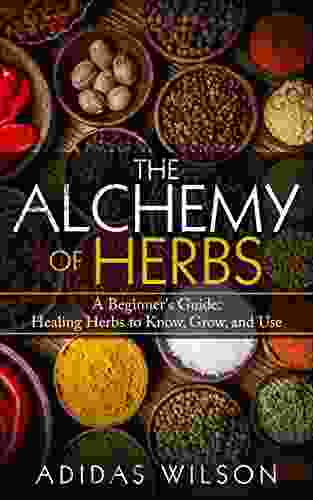 The Alchemy Of Herbs: A Beginner S Guide: Healing Herbs To Know Grow And Use